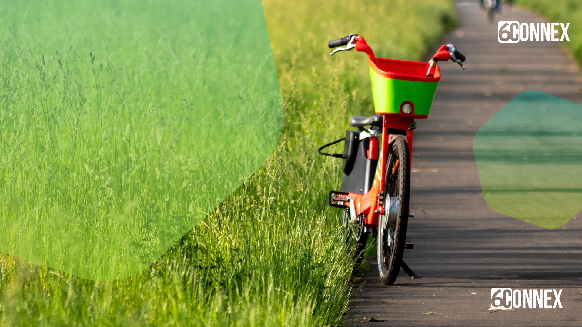 10 Sustainable Event Ideas to Make an Impact